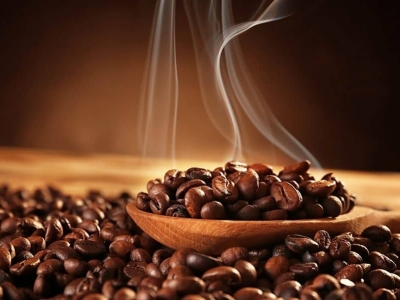 Giá cà phê hôm 24/7: Robusta vượt 1.900 USD/tấn, giải mã sức tăng của thị trường