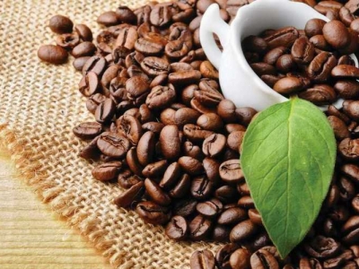 Giá cà phê hôm 3/3: Dư mua đẩy giá Robusta thấp nhất 1 tuần qua