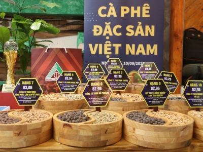 Giá cà phê hôm 6/1: Robusta tiếp tục tăng, trong nước vượt 68.000 đồng/kg