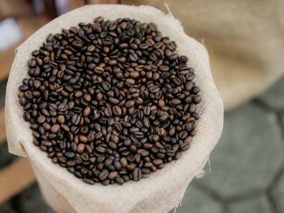 Giá cà phê hôm 04/2/2026: 2 ngày đầu tuần Robusta mất hơn 300 USD/tấn