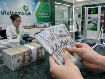 Tỷ giá USD hôm 07/7: Đồng USD ổn định  