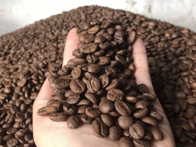 Giá cà phê hôm 23/10: Tăng ngay phiên đầu tuần, trong nước vượt 60.000 đồng/kg