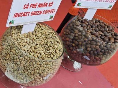 Giá cà phê hôm 29/5: Đồng loạt giảm
