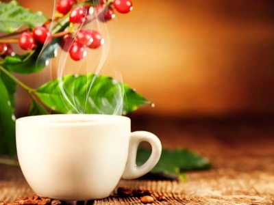 Giá cà phê hôm 10/7/2025: 3 nguyên nhân đẩy cà phê giảm trở lại V