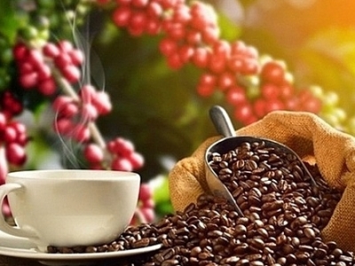 Giá cà phê hôm 23/3: Bật tăng gần 4%, tái lập mốc 94.000 đồng/kg  