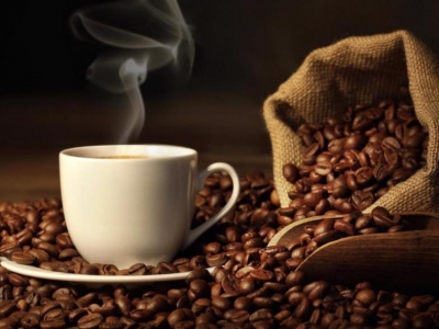 Giá cà phê hôm 24/2: 6 nguyên nhân đẩy giá cà phê giảm sâu