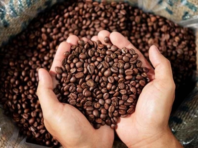 Giá cà phê hôm 06/7: Duy trì ở vùng giá cao