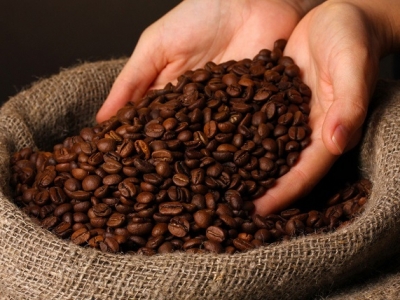 Giá cà phê hôm 26/8: Robusta cao nhất 15 năm, dự báo còn tăng tiếp