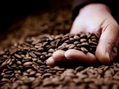 Giá cà phê hôm 11/11/2025: Arabica tiếp tục tăng trong khi Robusta quay đầu giảm nhẹ