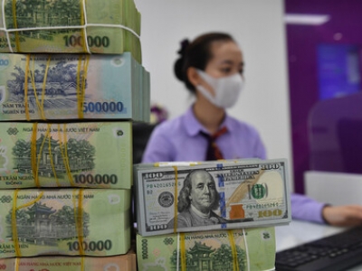 Tỷ giá USD hôm 25/10: Cập nhật tỷ giá USD trong nước và quốc tế