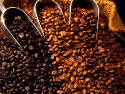 Giá cà phê 13/11: Tăng trưởng ấn tượng, giá cà phê trong nước đang cao nhất kể từ đầu năm