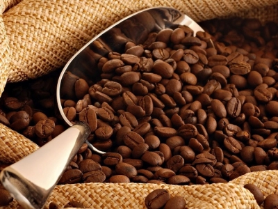 Giá cà phê hôm 10/6: Arabica tăng trở lại, dự báo Robusta đến cuối năm