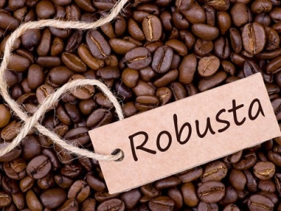 Giá cà phê 26/9: Thị trường thế giới tăng do đầu cơ kéo cà phê Tây Nguyên thêm 100 - 200 đồng/kg