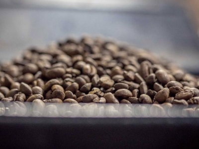 Giá cà phê hôm 11/8: Tiếp tục tăng mạnh, đâu là nguyên nhân?