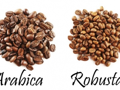 Giá cà phê hôm 26/10: Arabica thế chỗ robusta lao dốc mạnh, bao giờ hãm được phanh giảm giá?