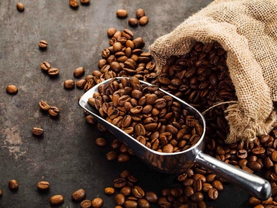 Giá cà phê hôm 12/11: Tăng liên tiếp 2 ngày, tiến gần mốc 41.000 đồng/kg