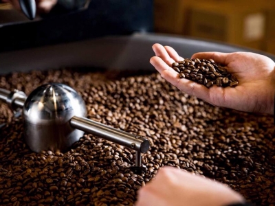 Giá cà phê hôm 21/8: Robusta tăng mạnh, lập đỉnh cao lịch sử